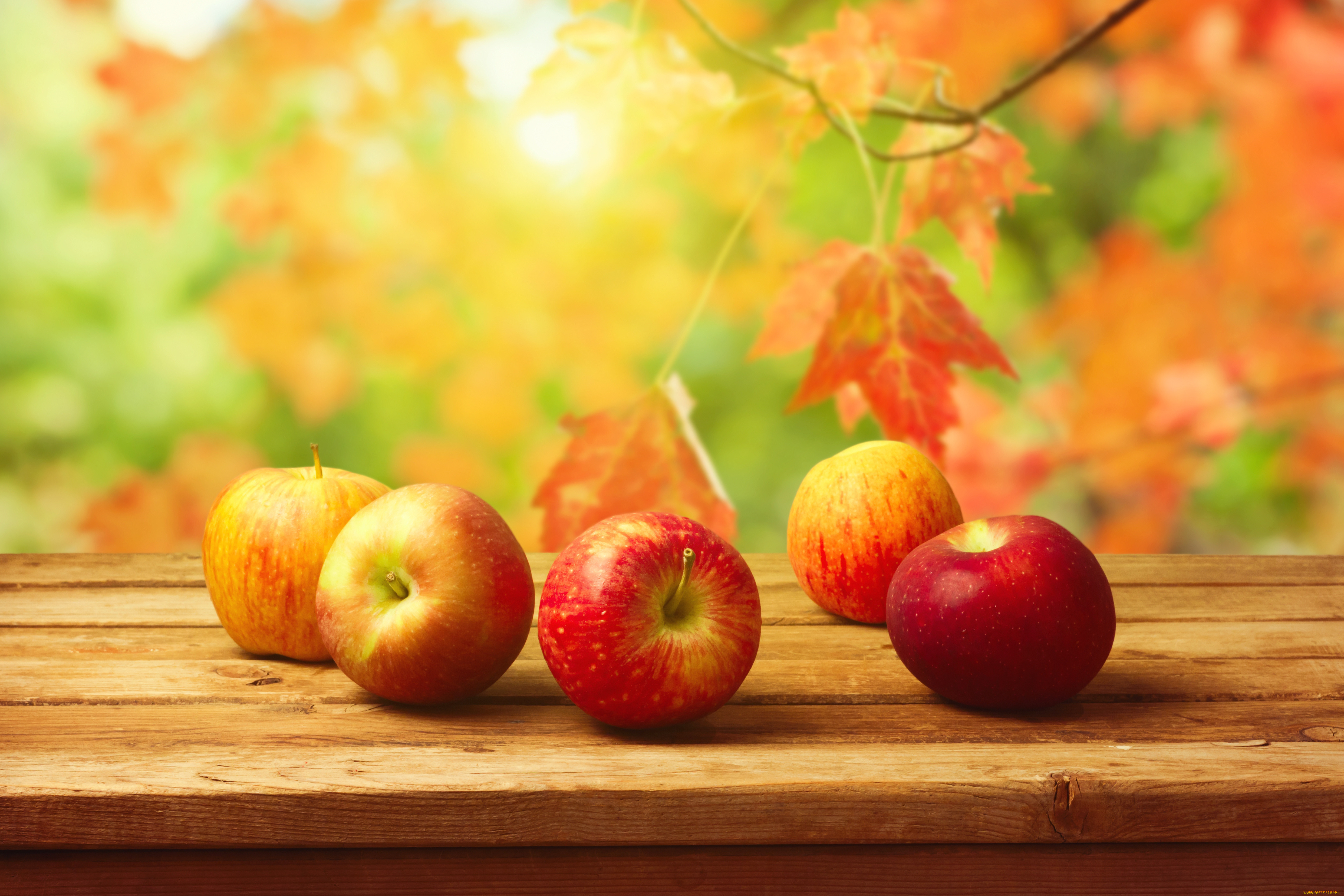Фрукты ноябрь. Осень яблоки. Обои на рабочий стол осень. Осенняя заставка на рабочий стол. Фоновый рисунок на рабочий стол осень.